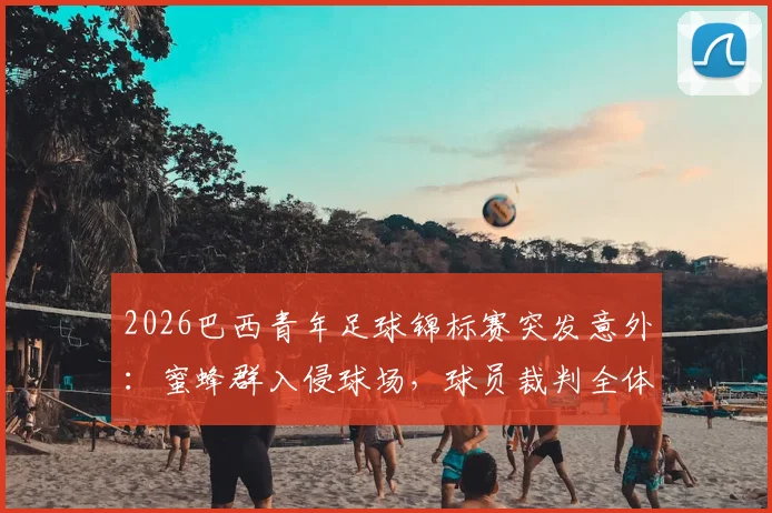 2026巴西青年足球锦标赛突发意外：蜜蜂群入侵球场，球员裁判全体卧倒应对处理全程回顾