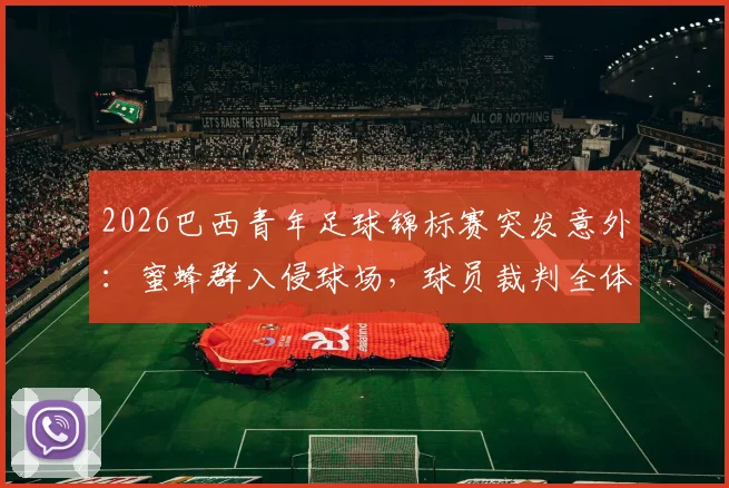 2026巴西青年足球锦标赛突发意外：蜜蜂群入侵球场，球员裁判全体卧倒应对处理全程回顾